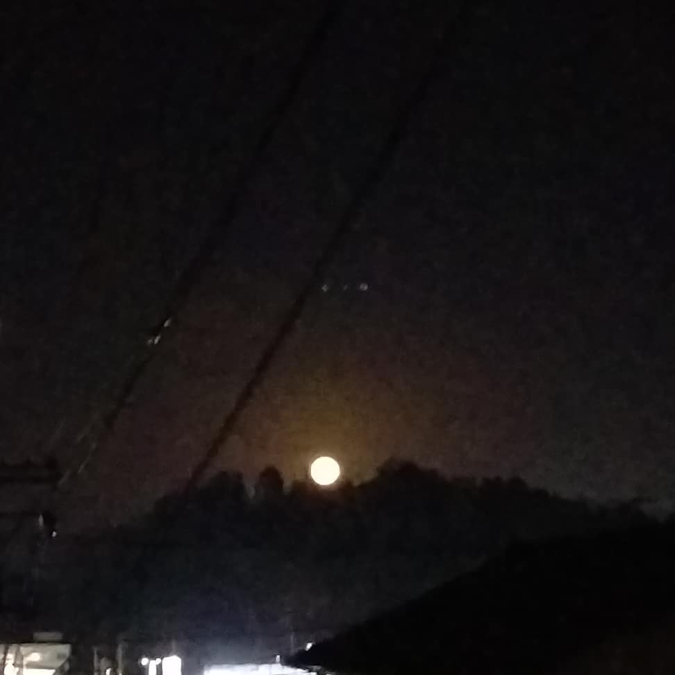 昇る月。昨日は満月でした